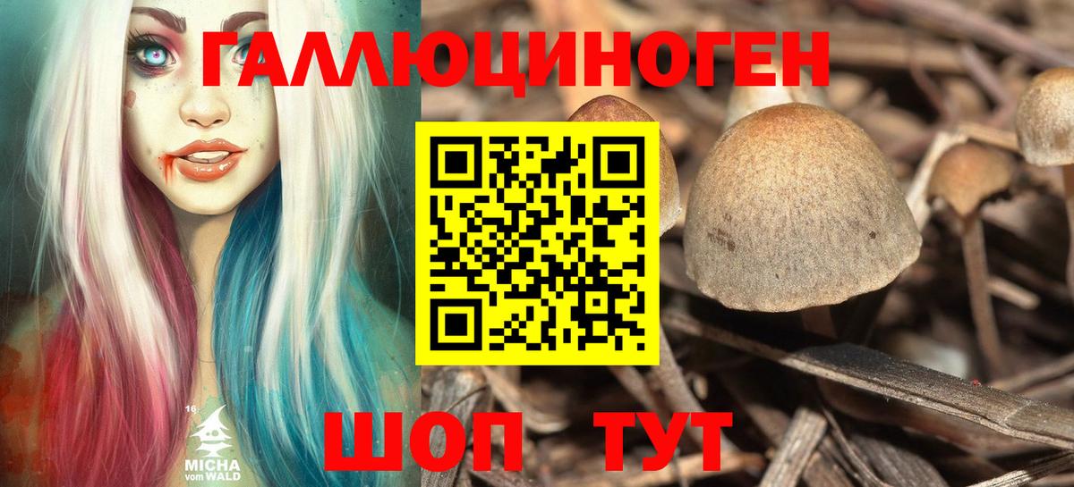 Галлюциногенные грибы Magic Shrooms  Вход с VPN  Кострома  Псилоцибиновые грибы мухоморы 